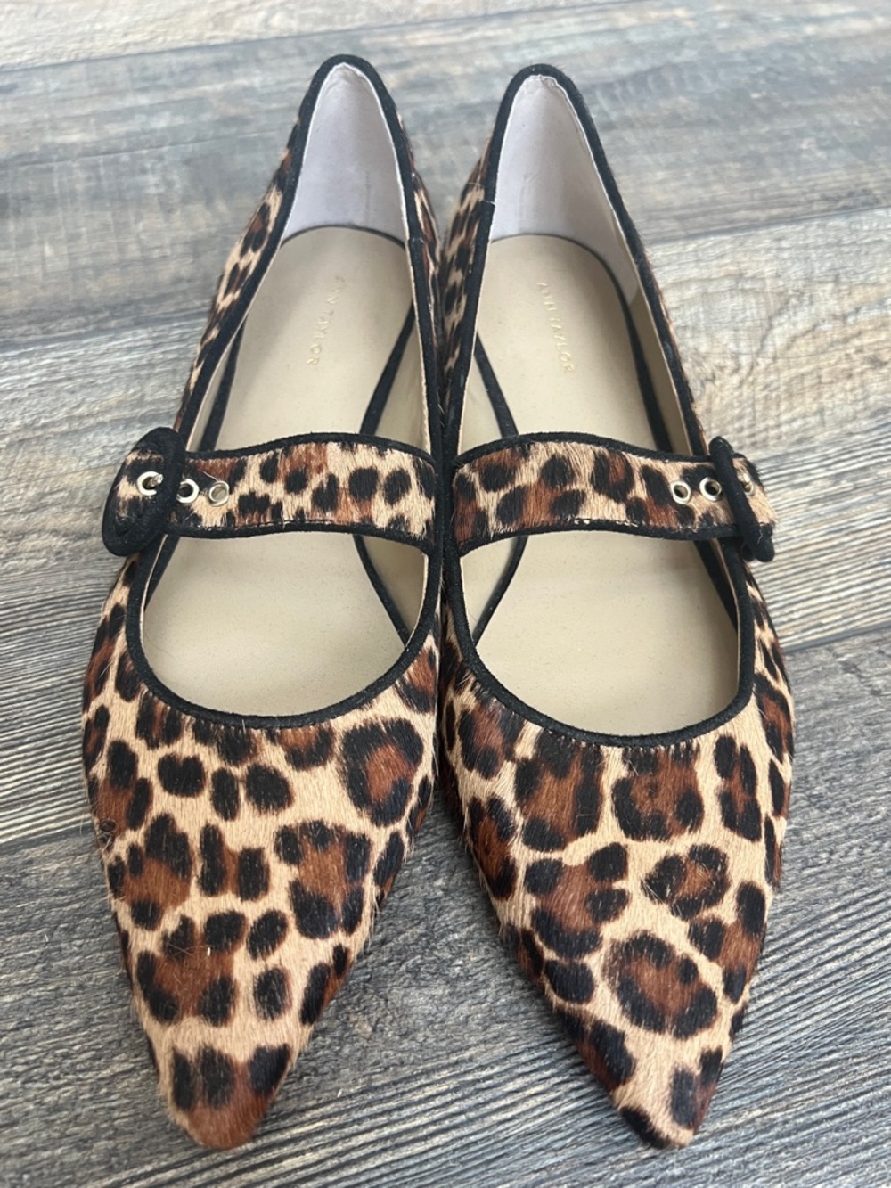 Ann Taylor Leopard Mary Jane Pointed Flats